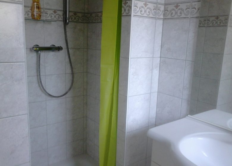 salle de bain avec douche APPARTEMENT – GÎTE DE LA FONTAINE_8