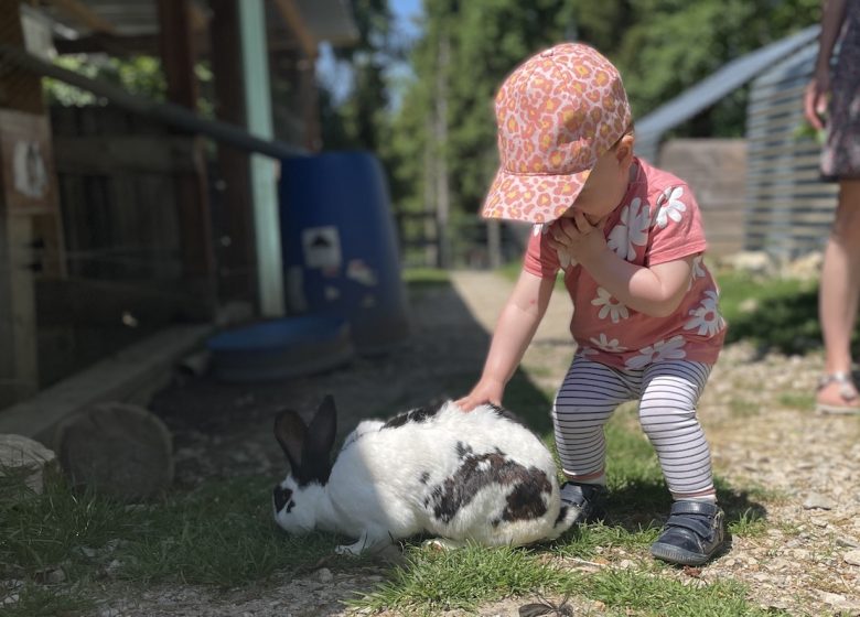Enfant qui approche un lapin