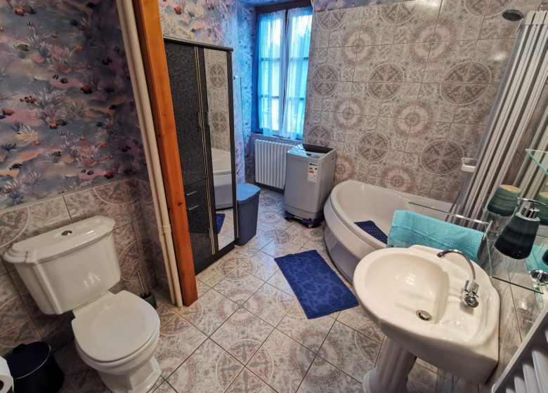 La salle de bain, avec baignoire, machine à laver et coin WC