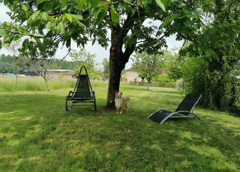 Les chaises longues à l’ombre sous le cerisier