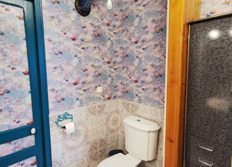 Troisième photo de la salle de bain avec son coin WC